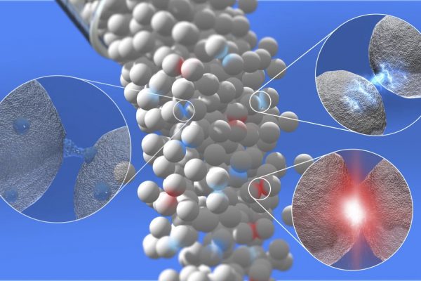 同时机制 - 粘合 - 纤巧 - 摩擦 - 互锁 - 互锁